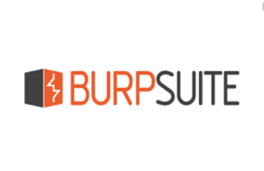 Burp Suite